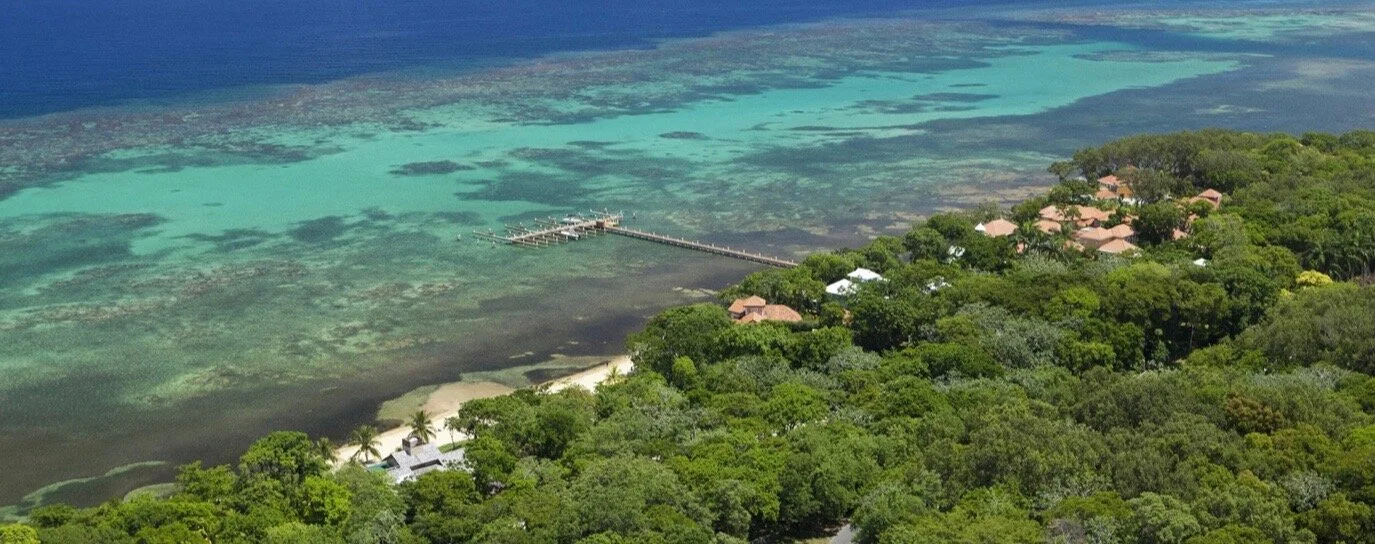 Wild Roatan