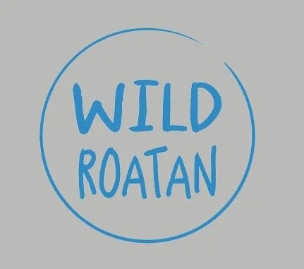 wild_roatan_logo.jpg