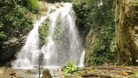 las_cascadas_lodge_in_honduras.GIF