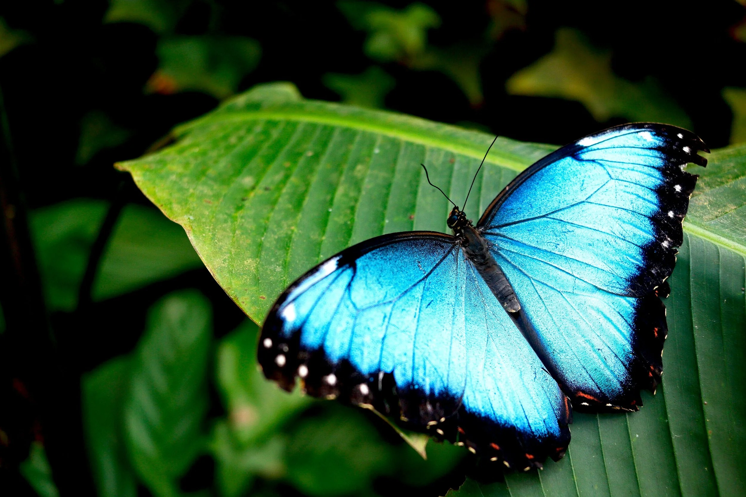 AdobeStock_167215795.jpg
