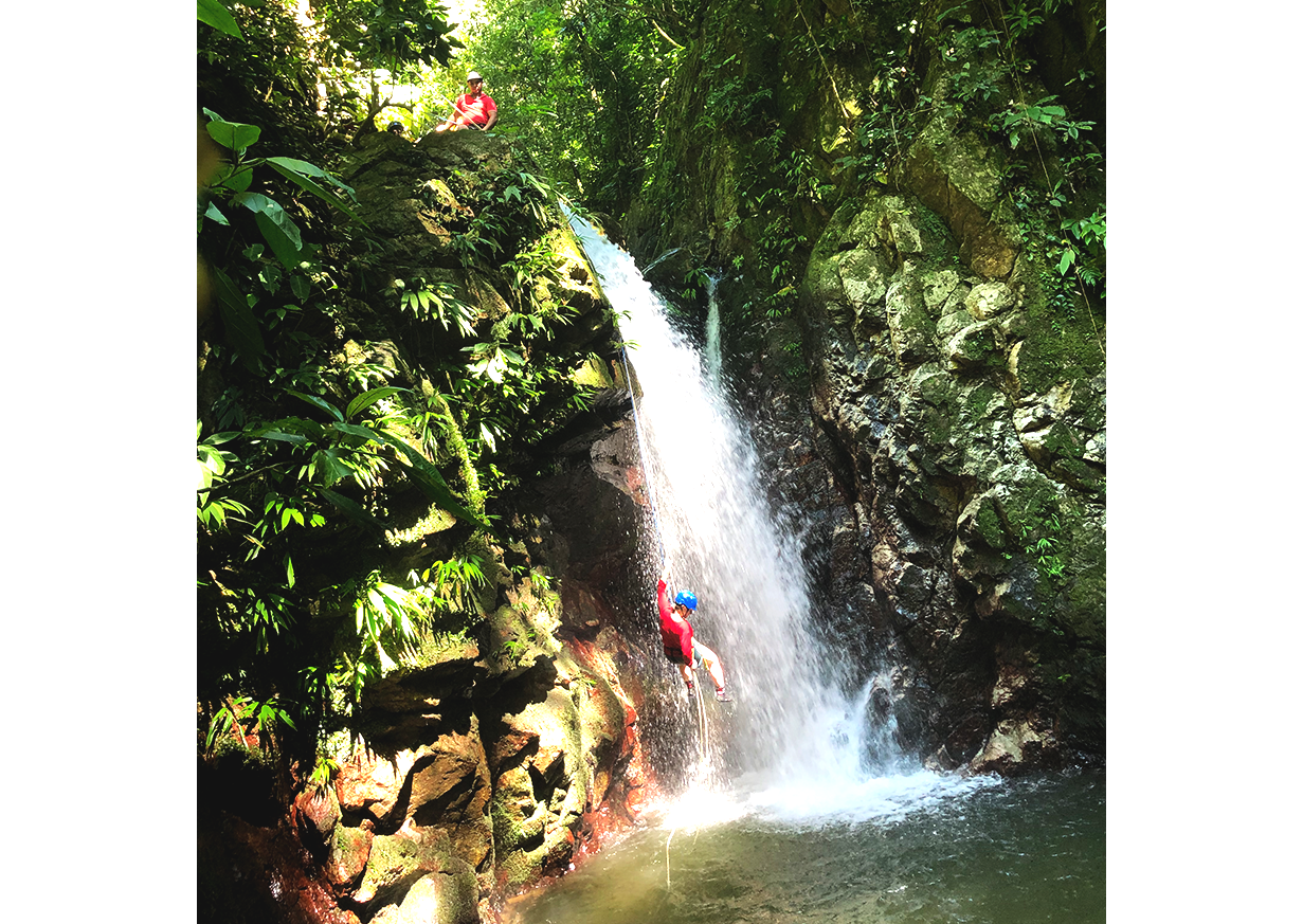 Exotic Surroundings