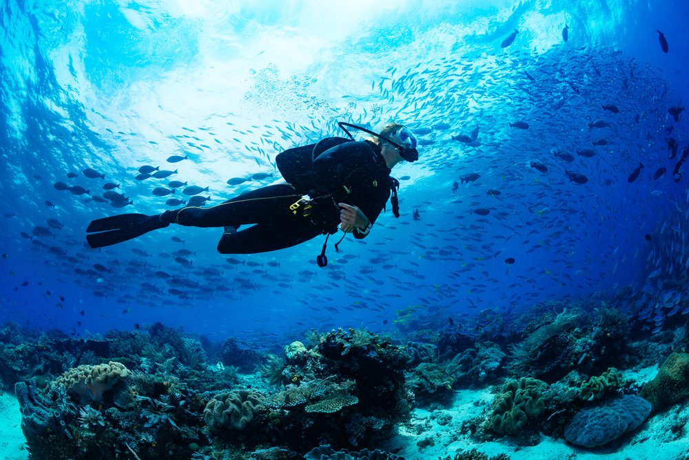 DIVING PACKAGES