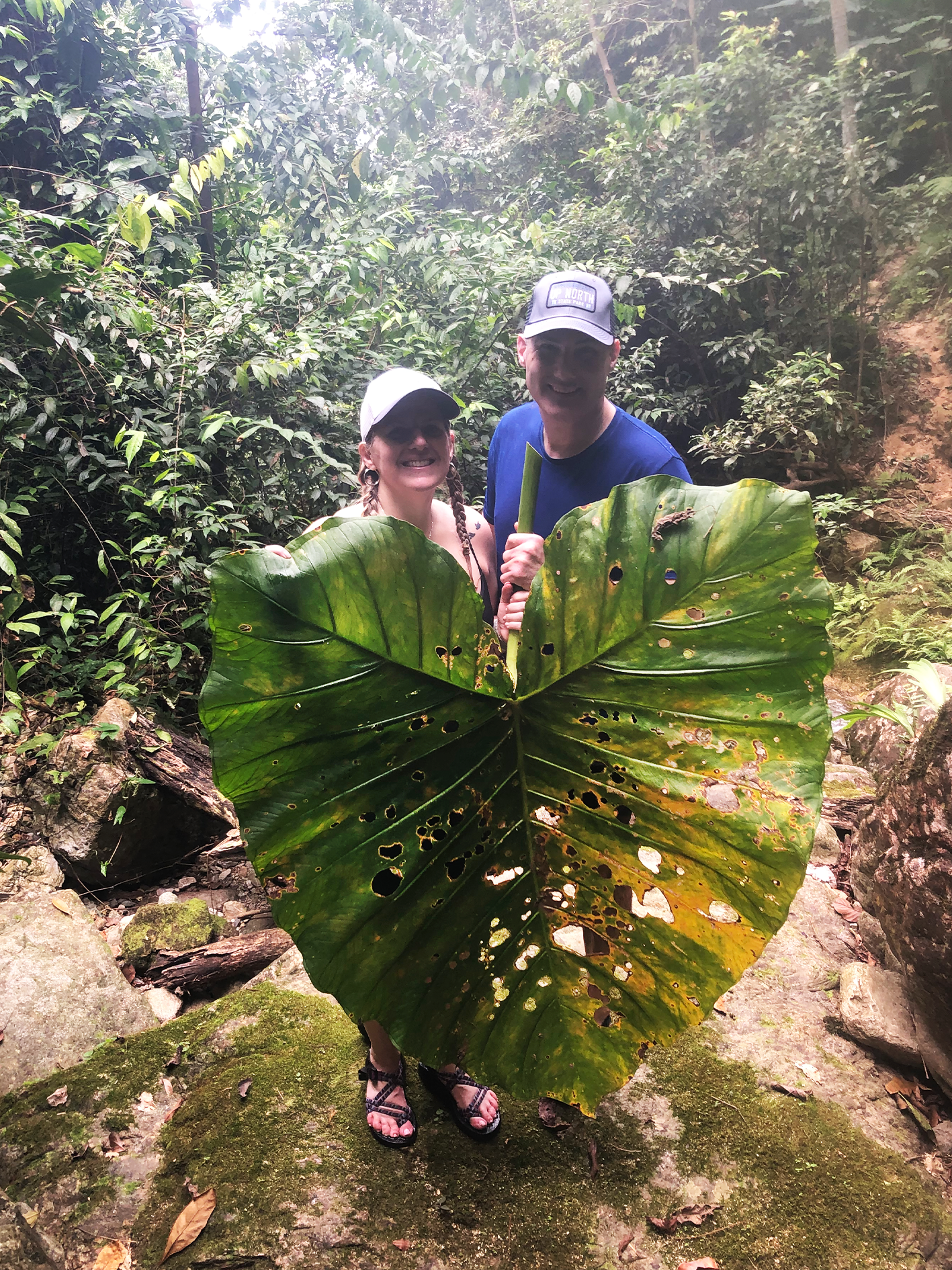 Jungle Hike