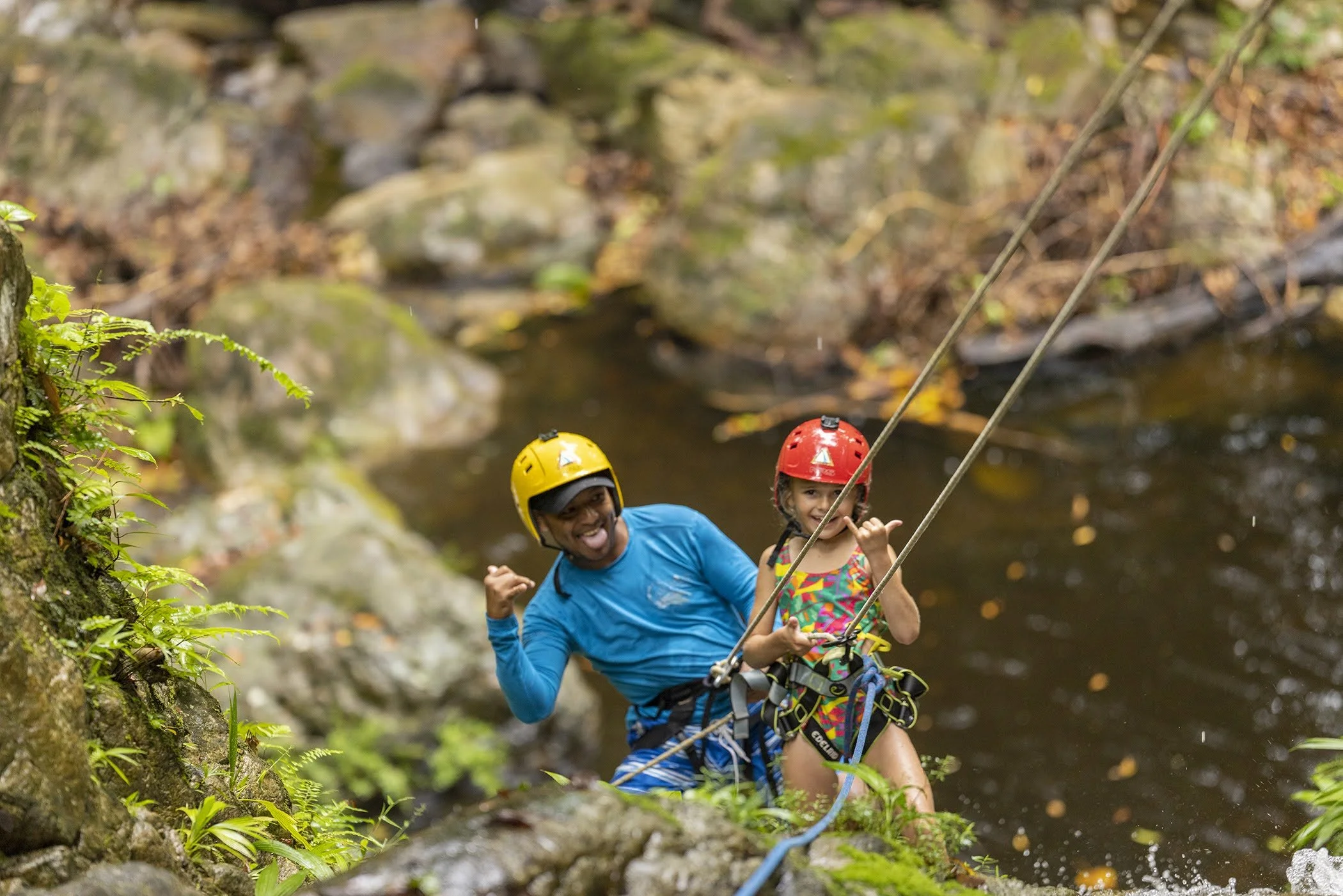 Waterfall Descents