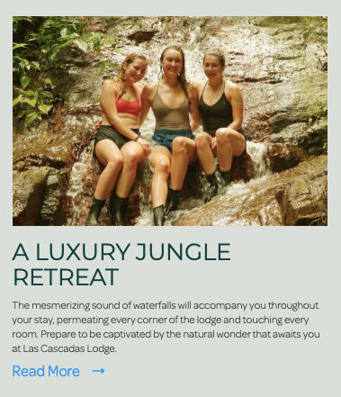 A Luxury Jungle Retreat