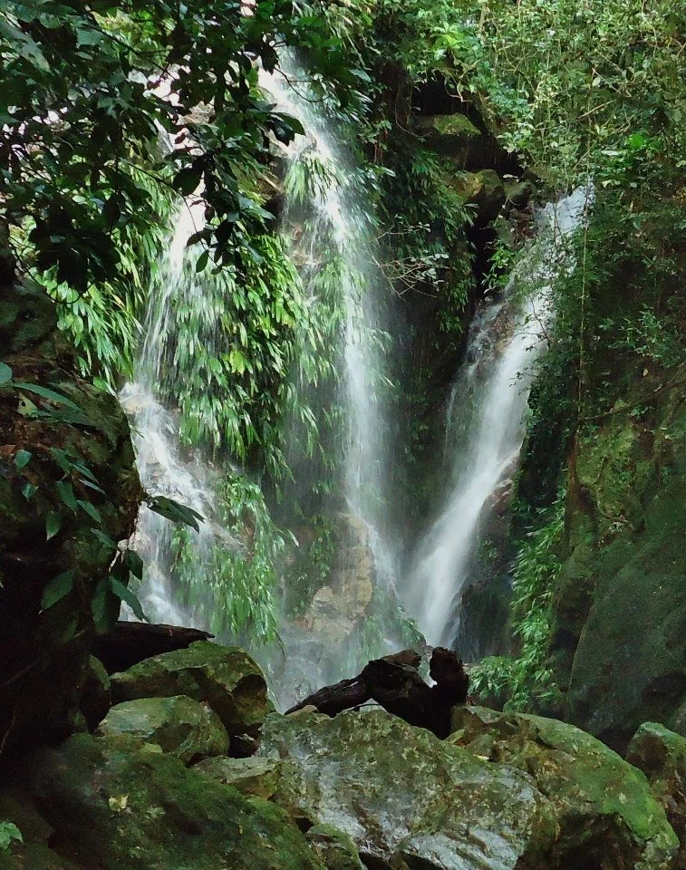 High-end Honduras