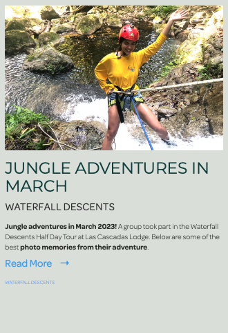 Jungle adventures in March