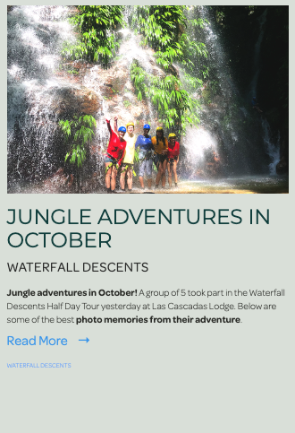 Jungle adventures in October