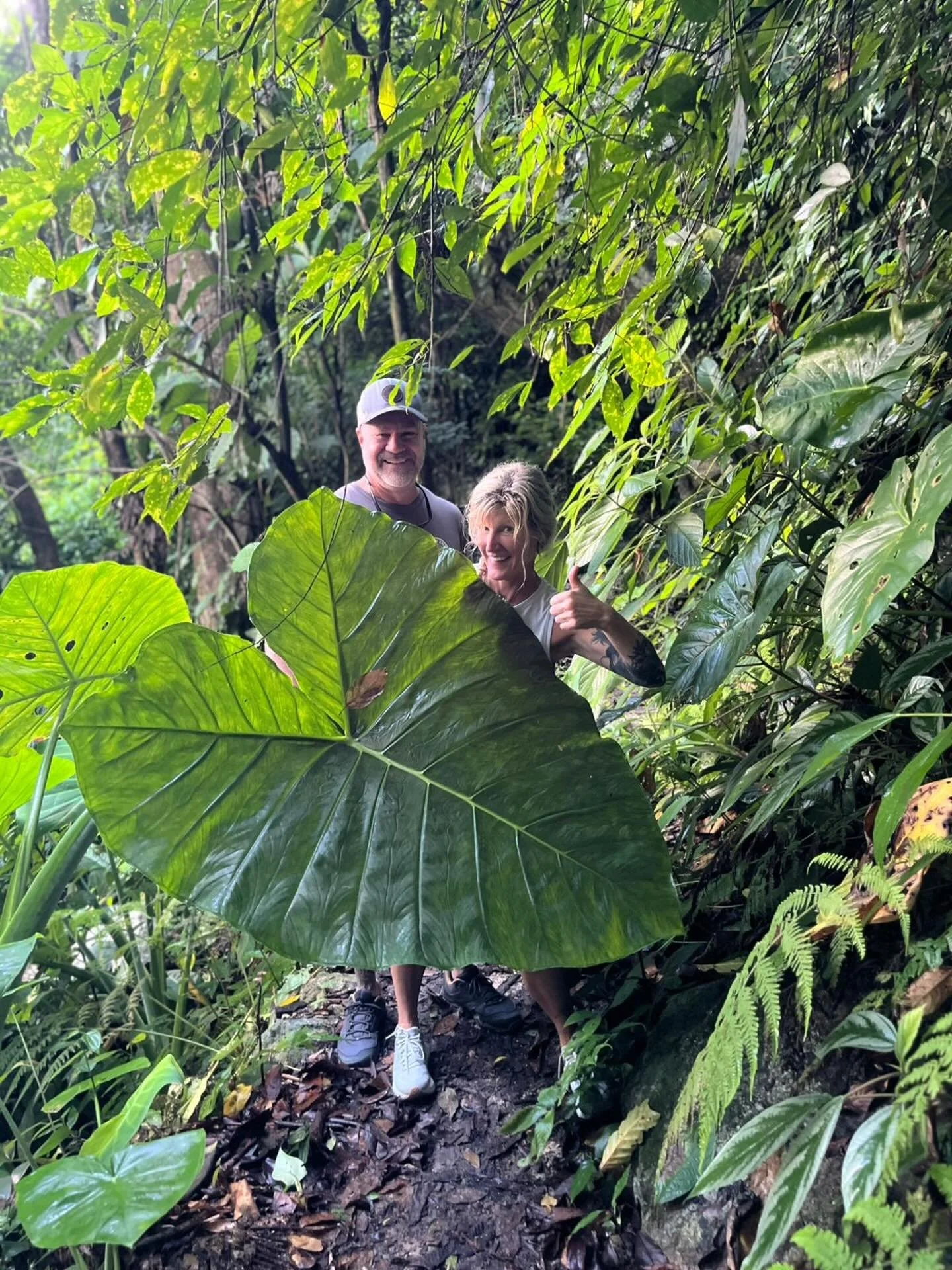 Another great pic from the hike into the National Park yesterday! 
.
.
.
#travel #travelphotography #jungle #waterfallhotelhonduras #rainforest #photooftheday #wanderlust #hondurasfivestars #hondurastravel #allinclusive #beautifuldestinations #travel