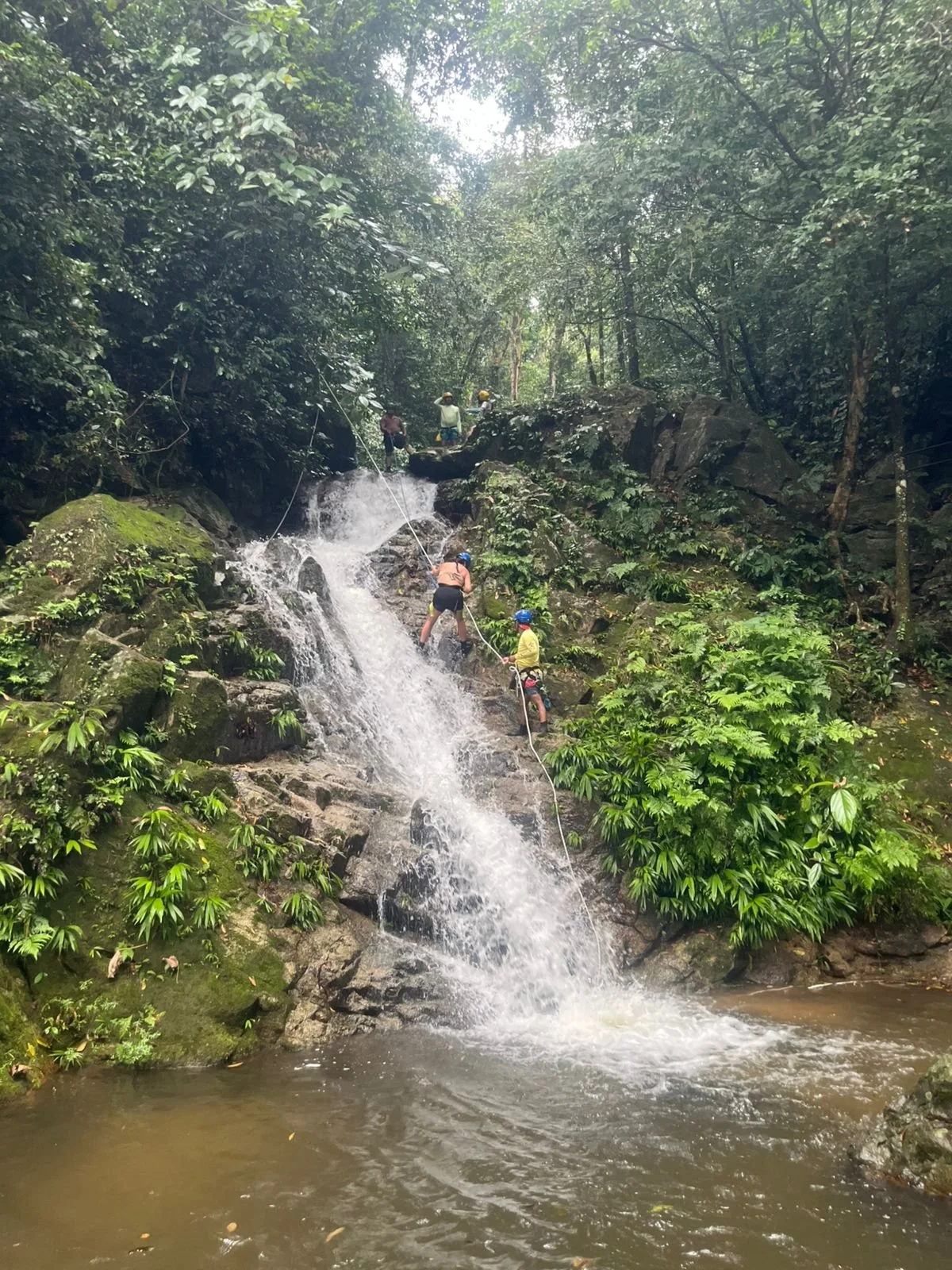 WhatsApp Image 2026-03-18 at 13.18.28.jpeg