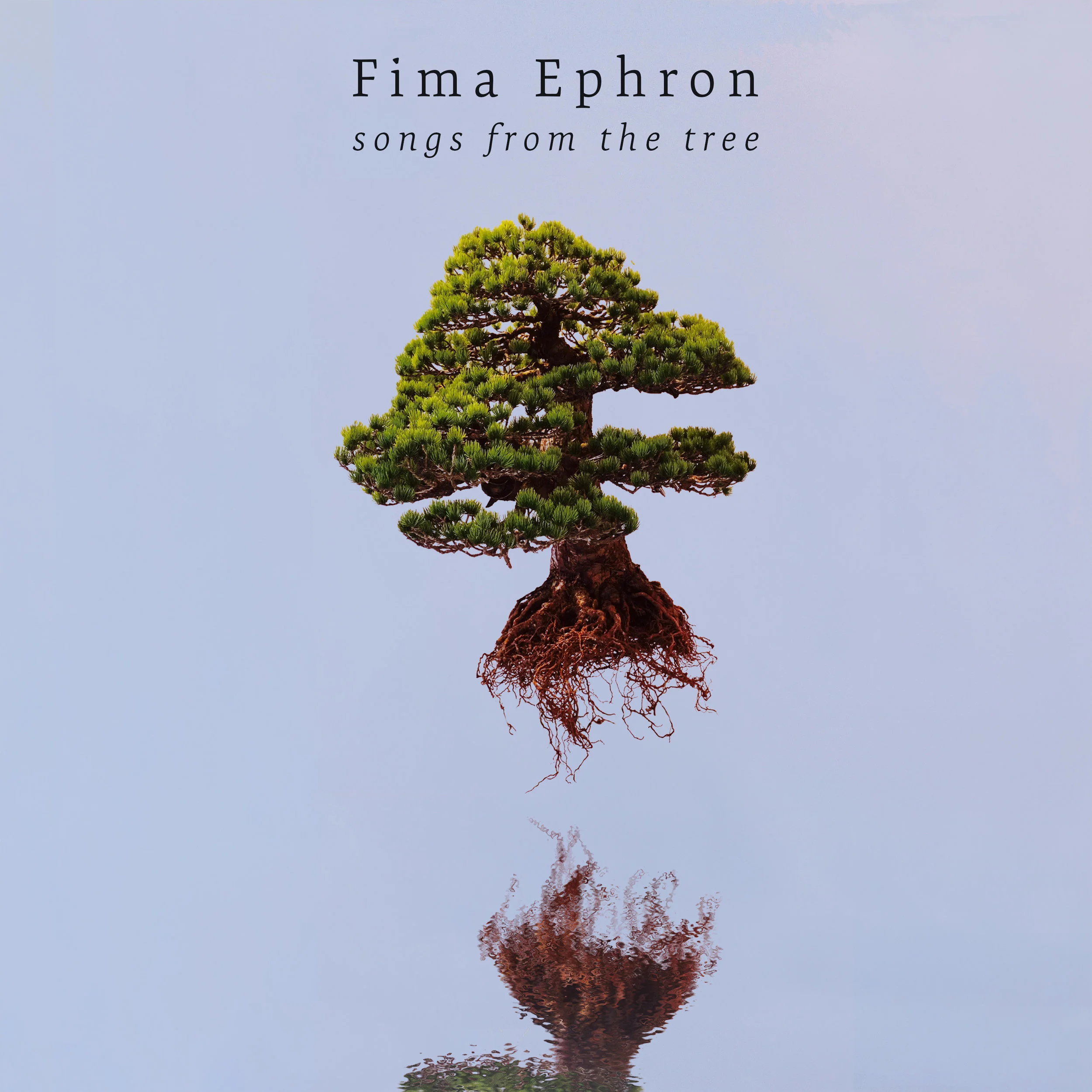 Fima Ephron - Songs From The Tree</strong>