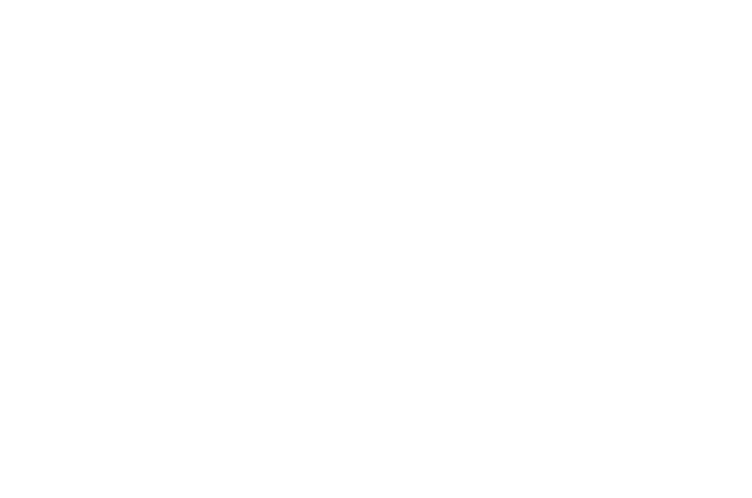Craftivist