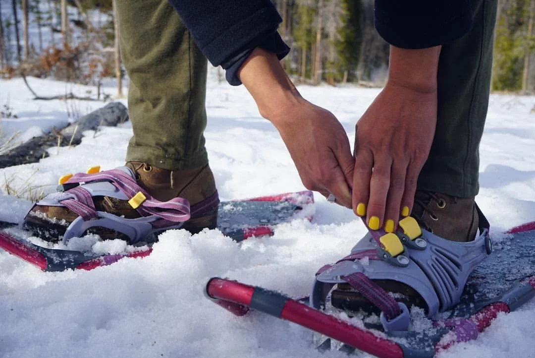 Putting on Snowshoes at our Tracking Class