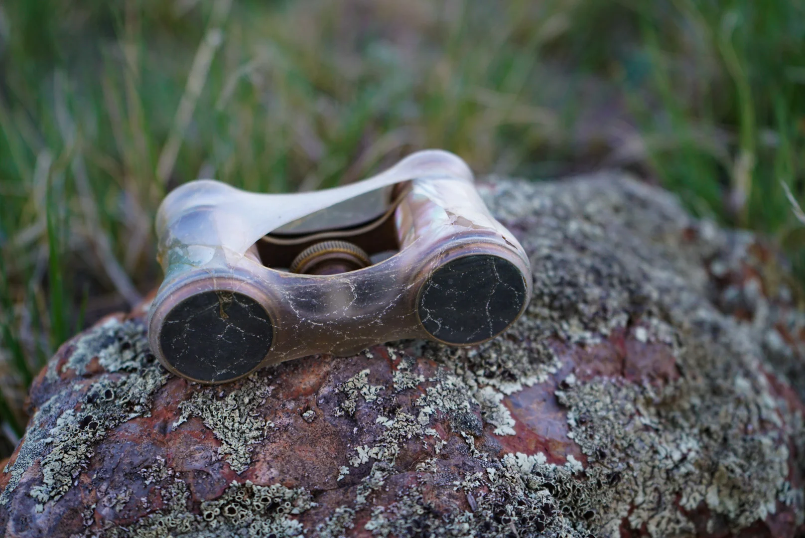 Queer Futurism: Denizens of Liminality