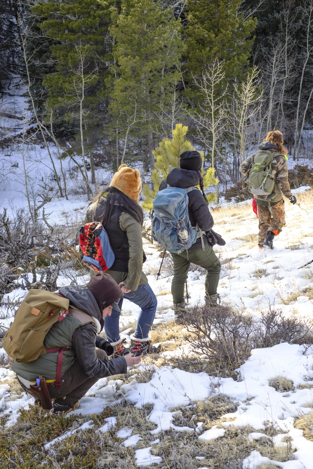 Winter Wildlife Tracking
