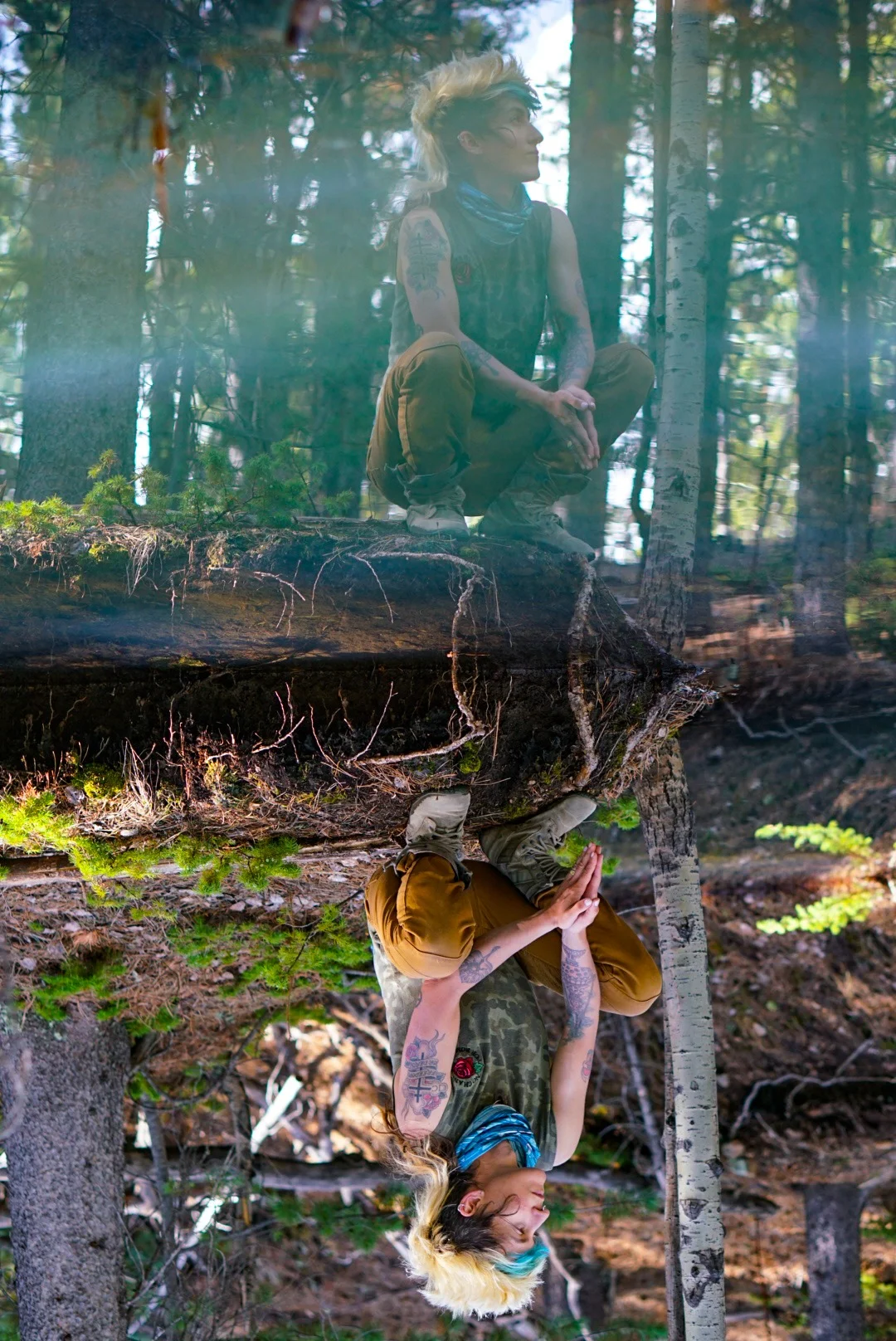 Trans(Eco)Futurism and Dreampunk