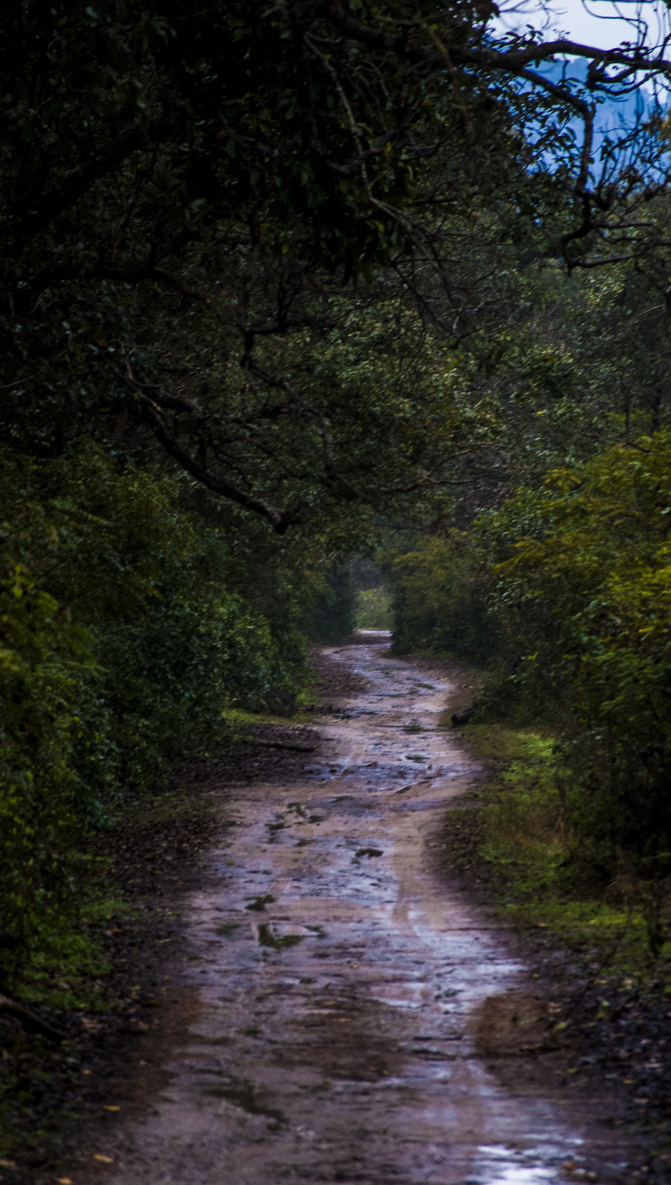 DSC_0084.jpg