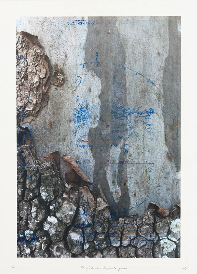 Ivory's Rock: Perpendr Face