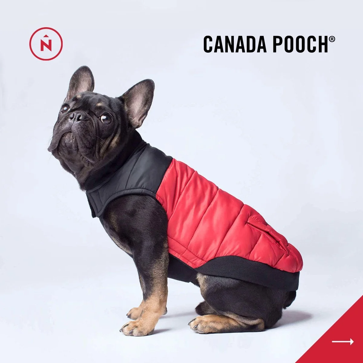 22.11 - NC - Social Media Posts - Carousel - A.jpg