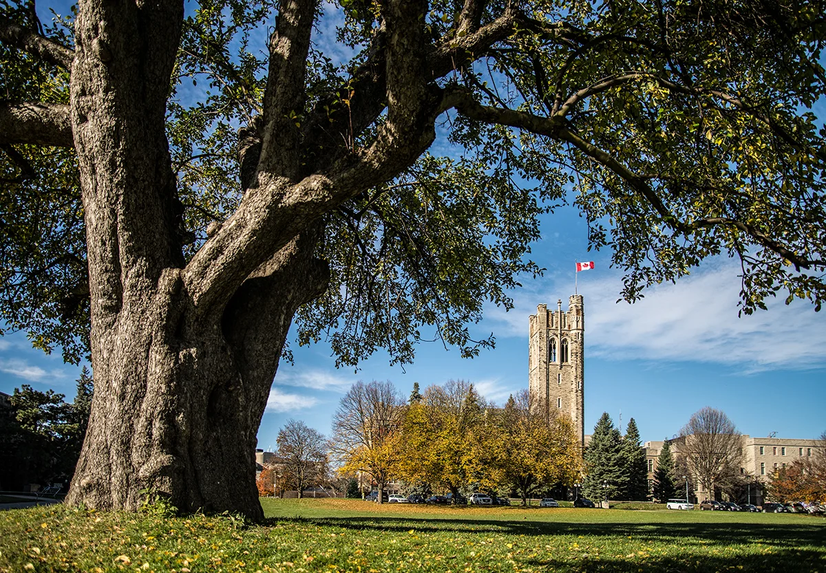 Campus_Fall_Tower_3.jpg
