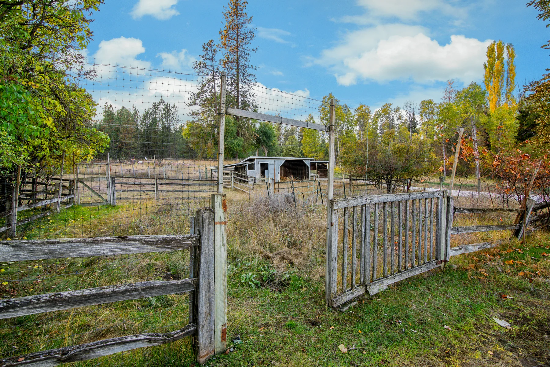 16514 N Little Spokane Dr-076.jpg