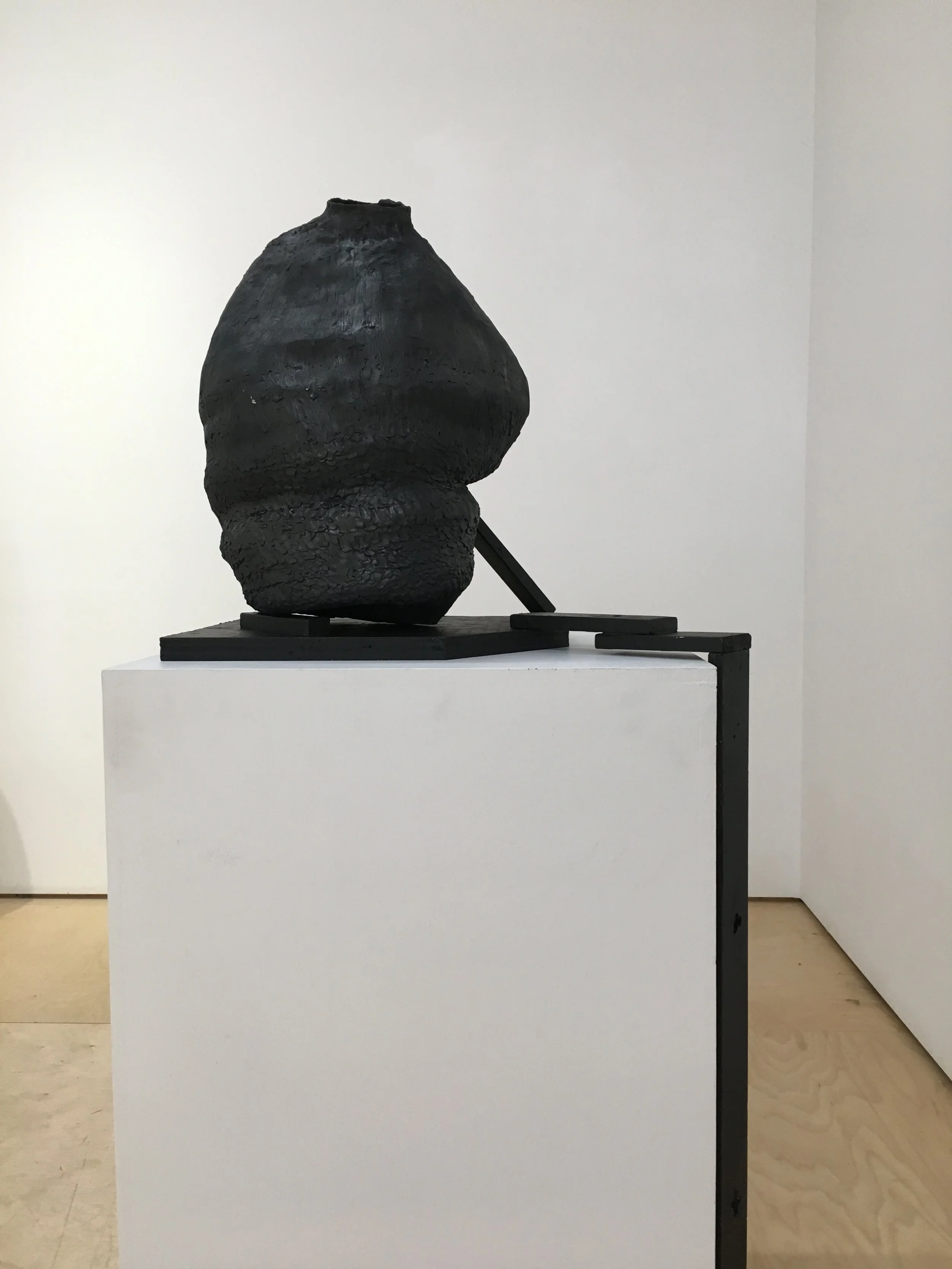DGM torso_2308.jpg
