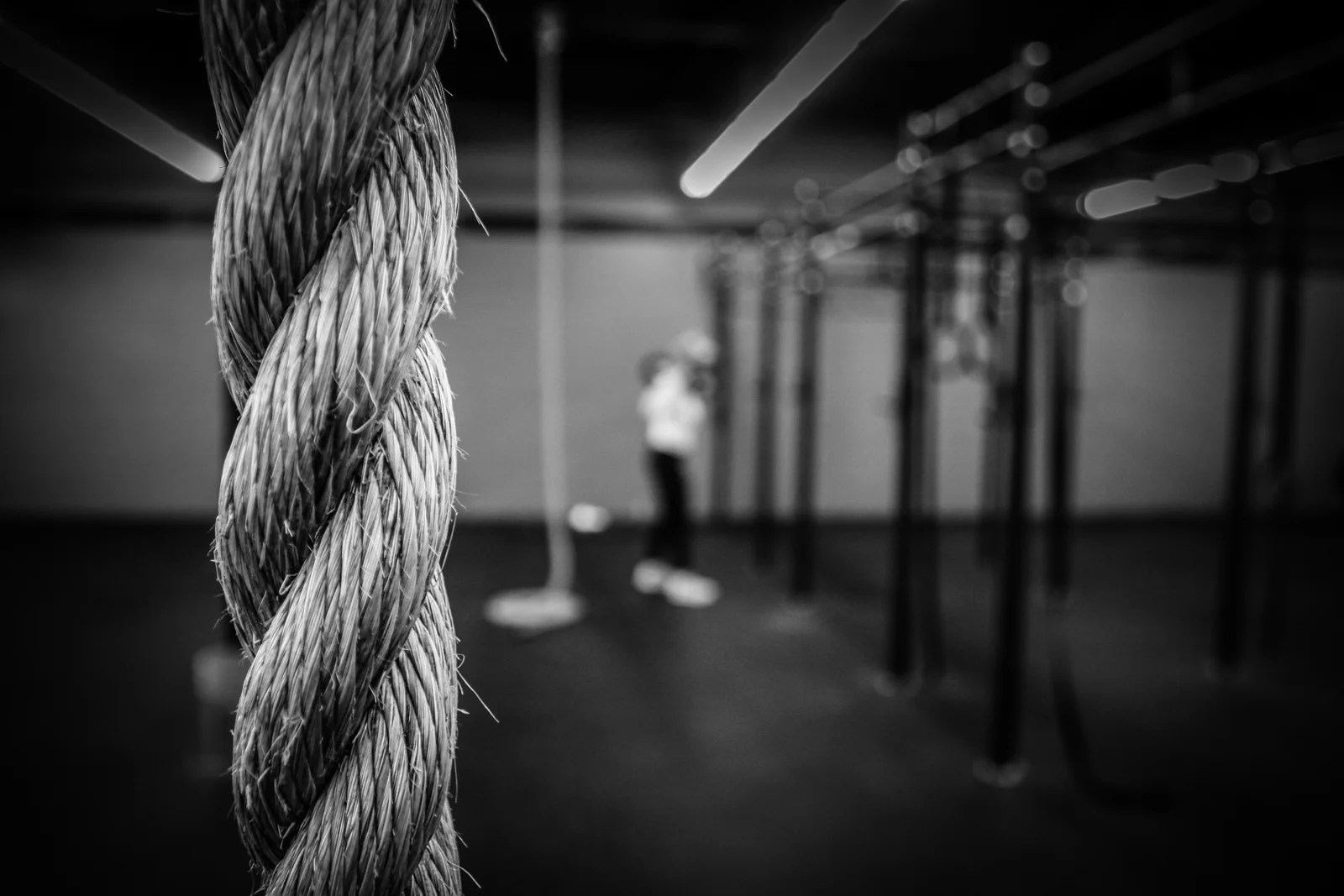 f6a7e631116d285fa745465be5ee6555.jpg