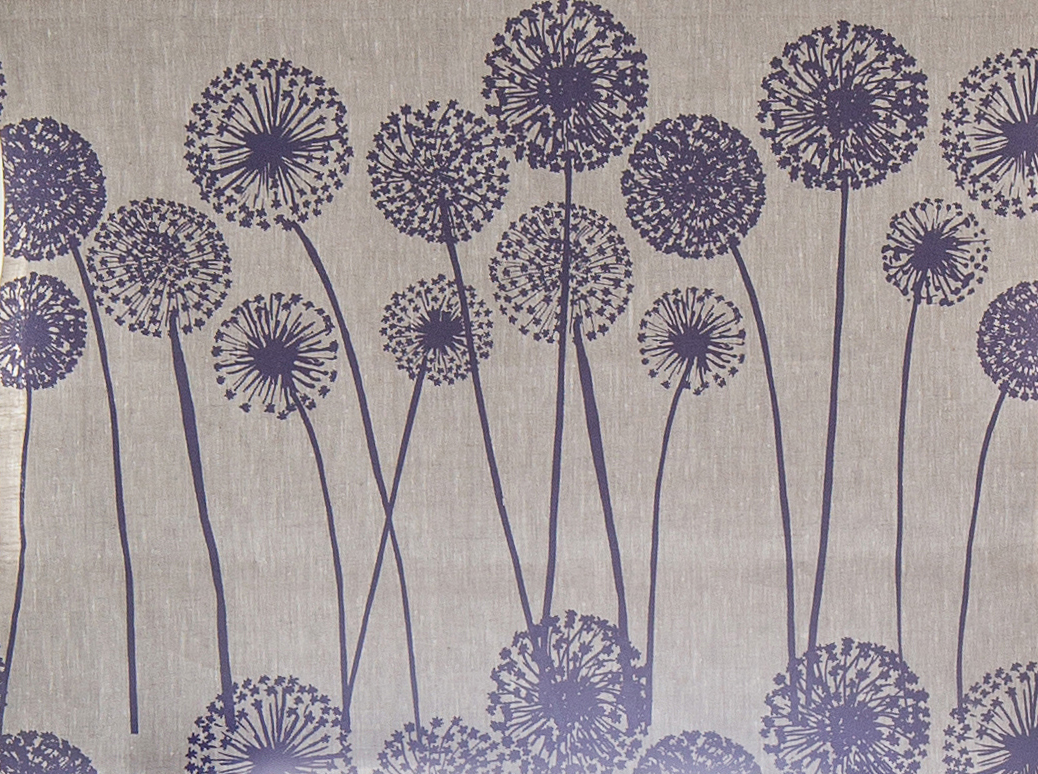 allium.jpg
