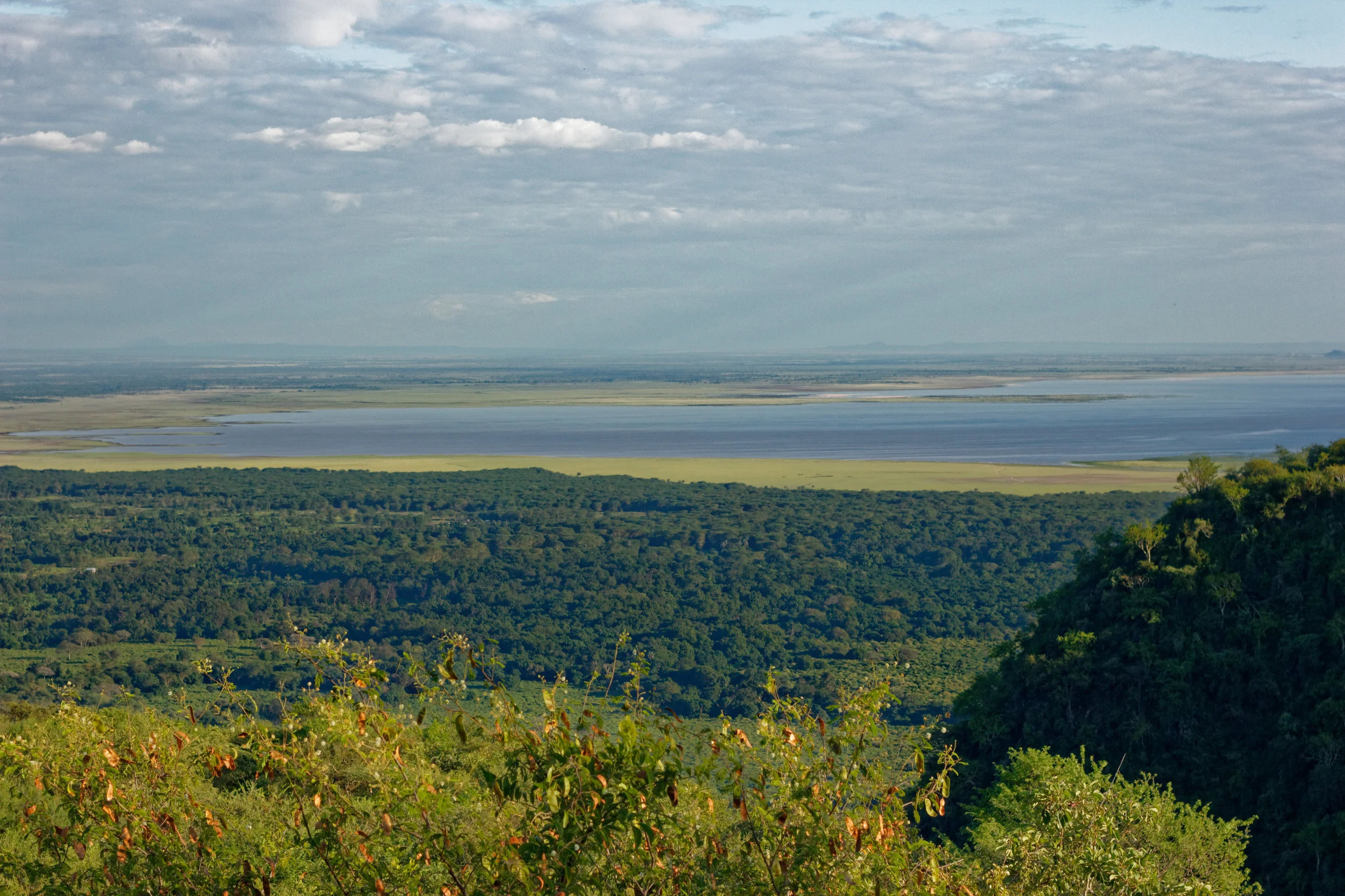 Lake Manyara, utsikten från vårt rum