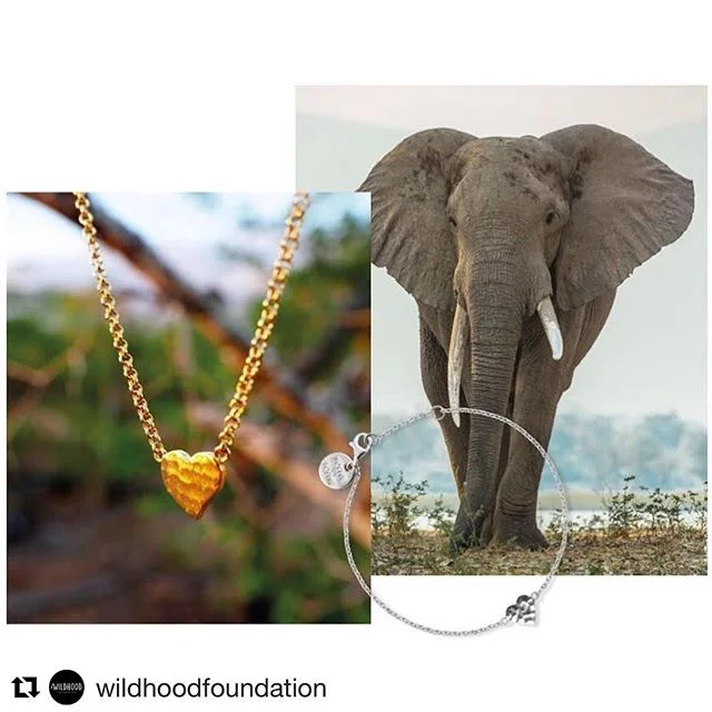 Jewellery that just as beautiful on the inside as on the outside 💚
&bull; &bull; &bull;
#Repost @wildhoodfoundation with @get_repost
&bull; &bull; &bull;
Wild Heart symbolizes the love to the animals we are fighting to protect. I am extremely proud 