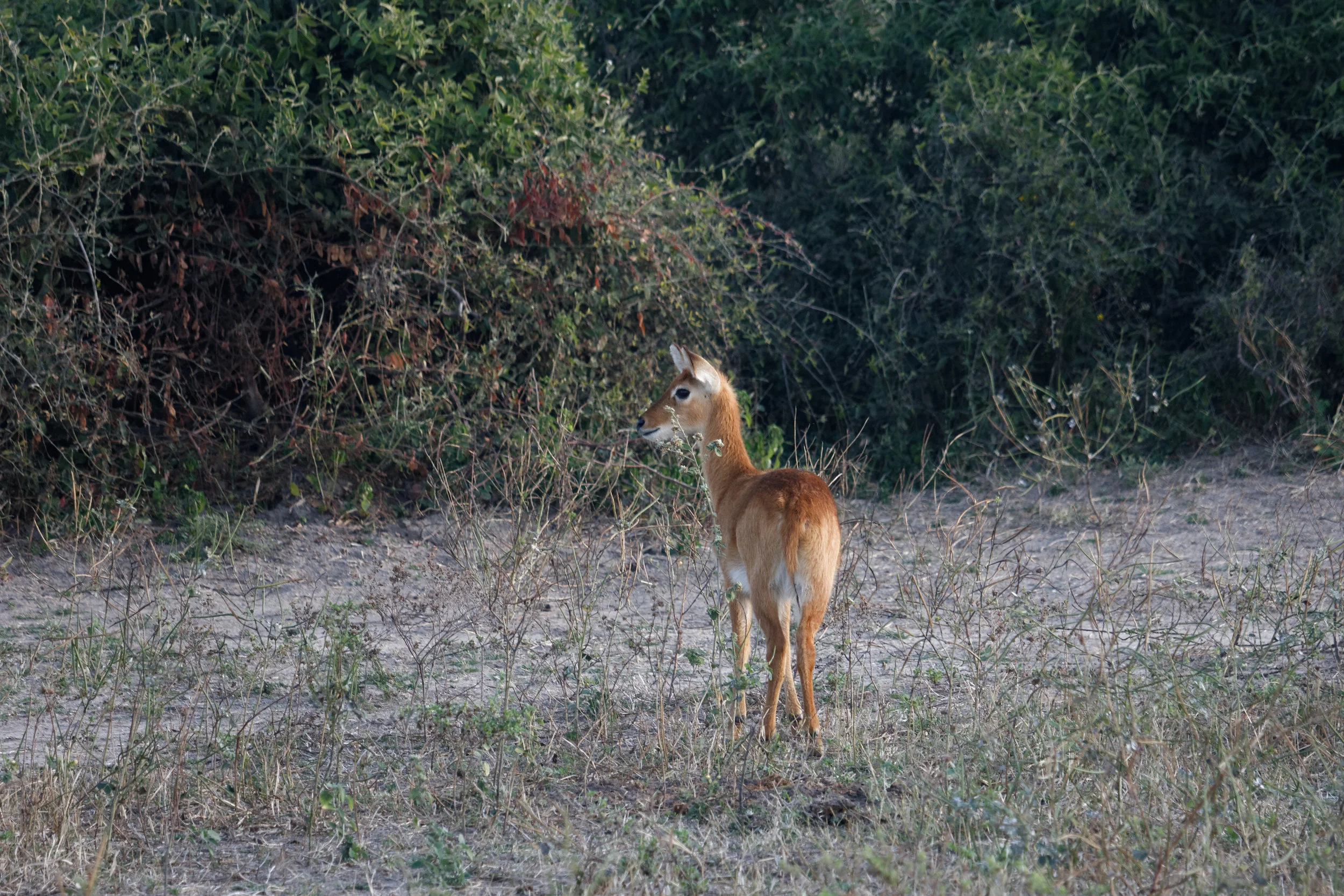 IMG_4517_DxO.jpg
