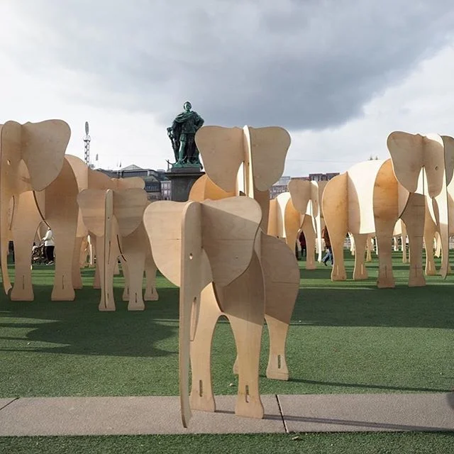 55 elephants are killed every day! 🐘🖤
&bull; 
In the heart of Stockholm at @kungstradgarden, 55 elephants made of wood, carried this message into the hearts and minds of people of Sweden.
&bull; 
The exhibition was a great success!! @wildhoodfounda