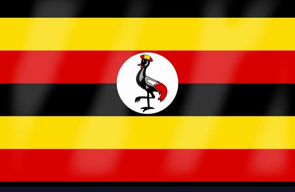 Bergsgorillor och Schimpanser i Uganda, bästa starten på 2018