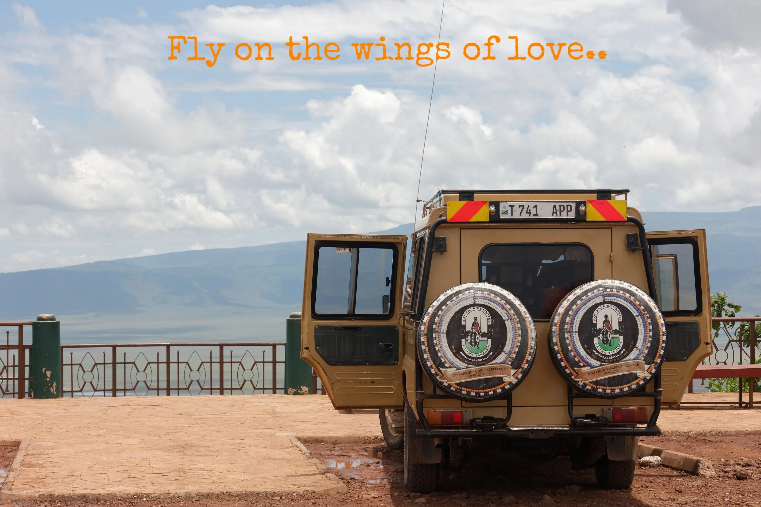 Dag 6 - Ngorongoro-kratern och noshörning!