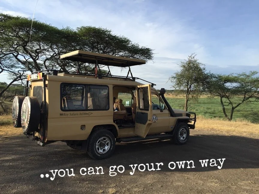 Vilket land är bäst för safari?