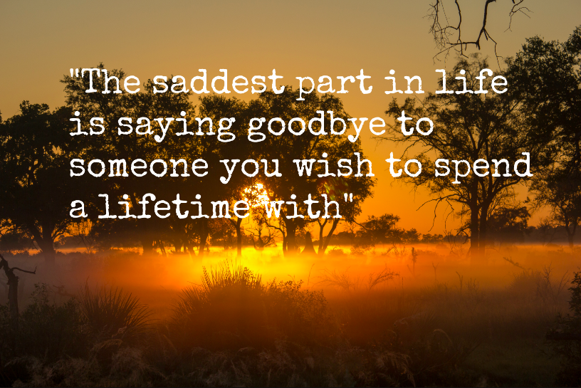 Day nine - Goodbye beautiful Botswana, hope to see you again!