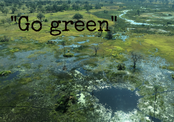 Day five- Explosion of green in the Okavango Deltat