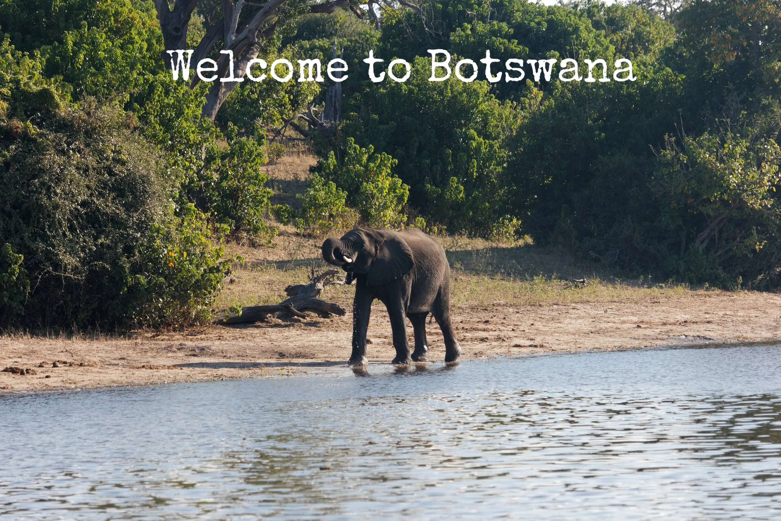 Day one - Mesmerizing Botswana and Chobe National Park