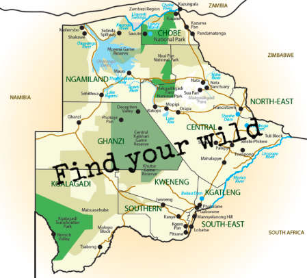 Why safari in Botswana? 