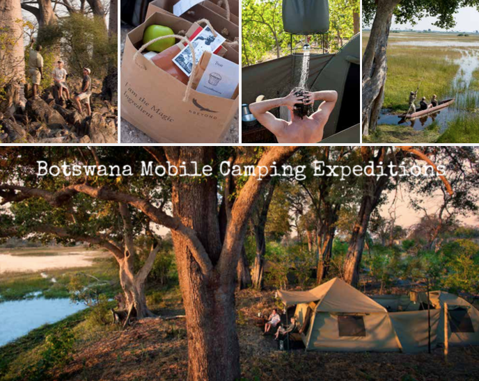 Small group safari in Botswana