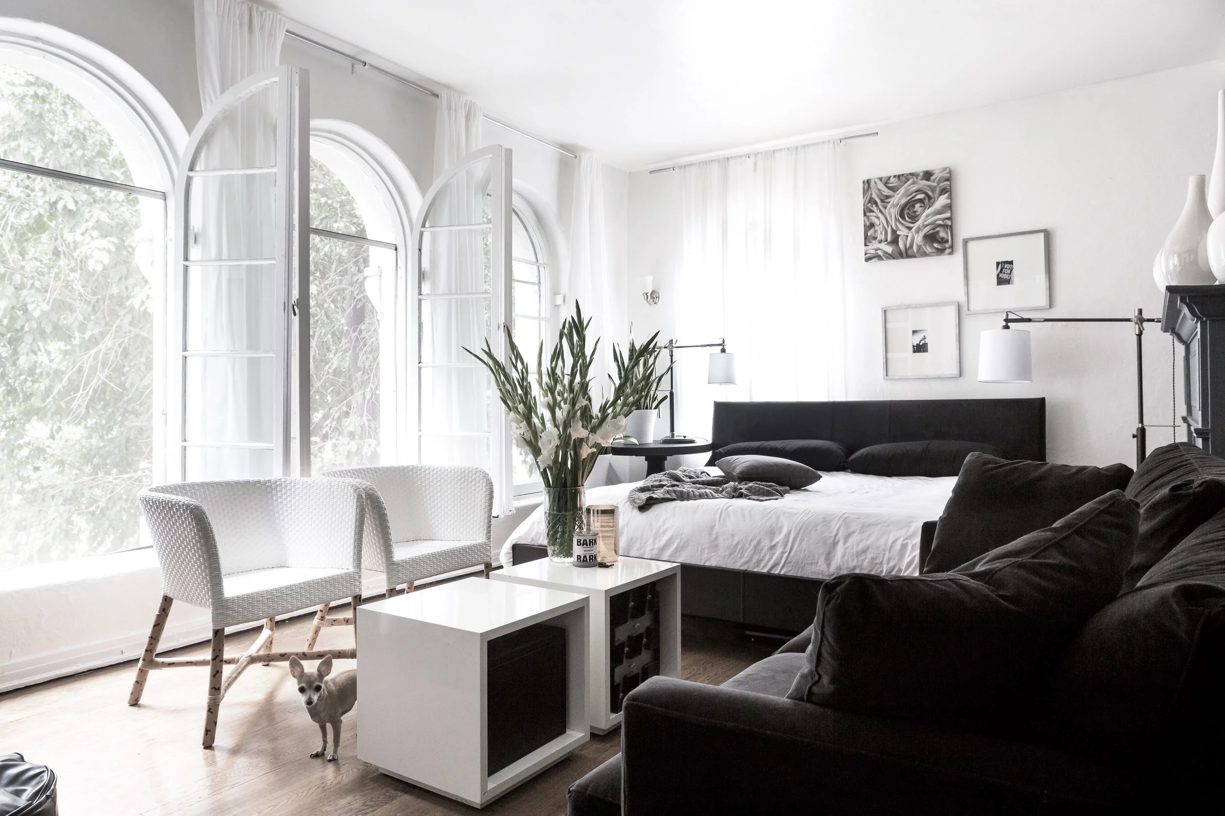 Official Press Release!