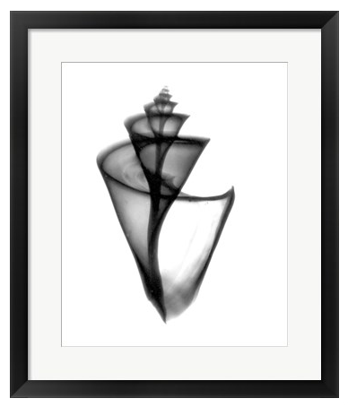Screen Shot 2018-08-24 at 7.12.04 PM.png