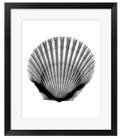 Screen Shot 2018-08-24 at 7.14.24 PM.png