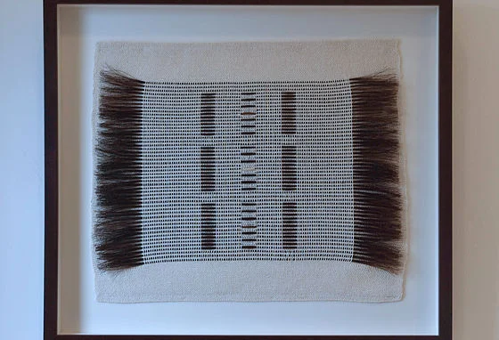 Handmade Horse Hair Woven Wall Hangings Artist Collab Alexandra Kohl