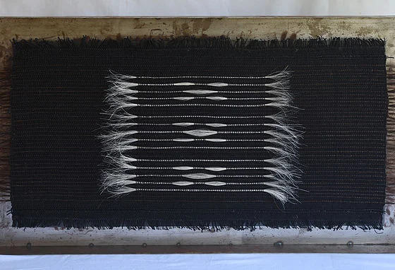 Handmade Horse Hair Woven Wall Hangings Artist Collab Alexandra Kohl