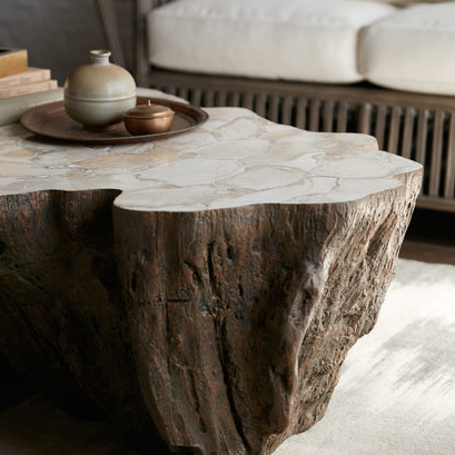 Fossilized Clam Coffee Table