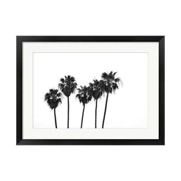 Black Palms Art Print
