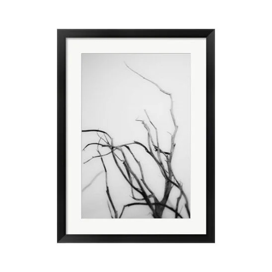 Black and White Searching Branches Framed Art Print