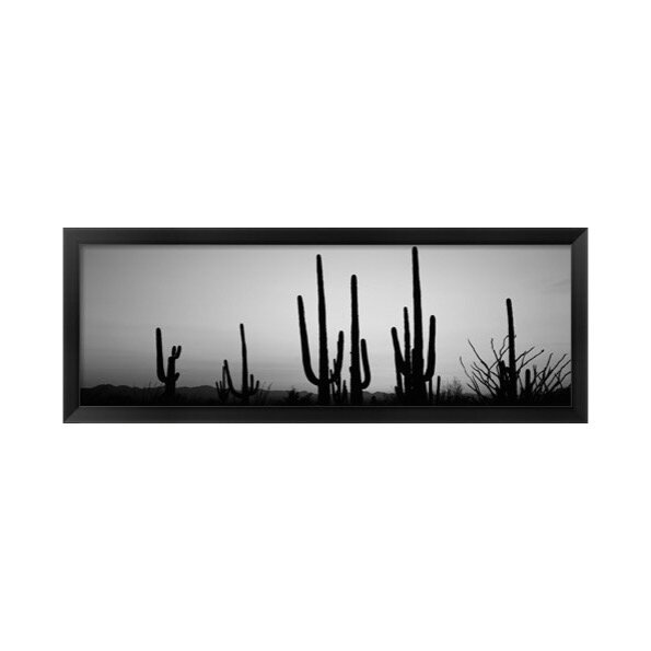 Black and White Saguaro Cactus Arizona Framed Print