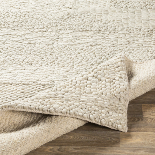 Coastal Hand Woven Ivory Wool indoor Rug